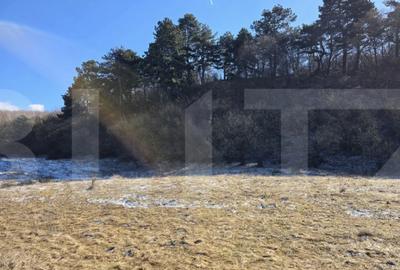 Teren în Feleacu - 9