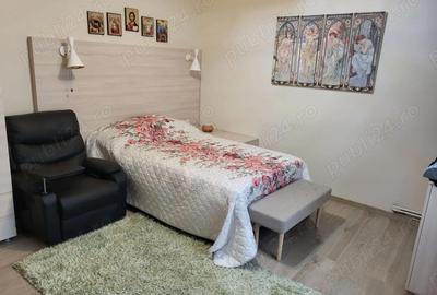 Casă cu 6 camere cu Teren 395 Mp în Turnișor - 1