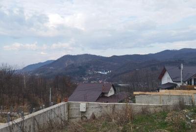 Teren de 1000 mp, în Ferneziu - 1