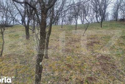 Teren de 3781 mp, în Izvoarele - 5