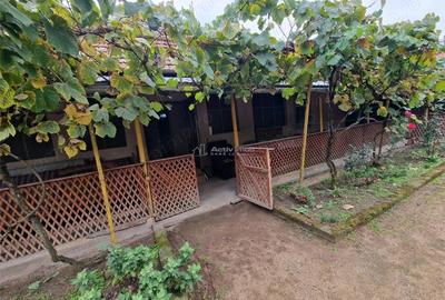 Casă cu Teren 4657 Mp în Șoșdea - 5