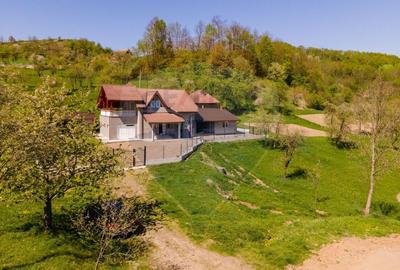 Casă / Vilă Sesuri, jud Hunedoara - 3