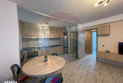 Apartament cu 2 camere, mobilat în Nerva Traian - 13