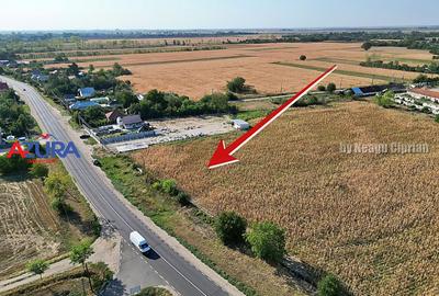 Teren Construcții intravilan de 7976 mp, în Crângurile - 8