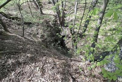 Teren de 5000 mp, în Valea Danului - 9