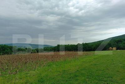 Teren pentru cabana /pensiune locatia perfecta pentru relaxa - 3