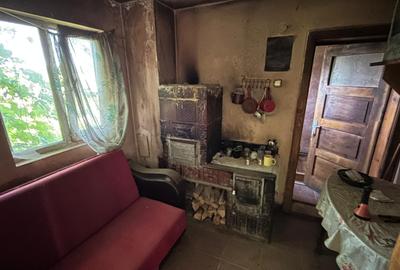 Casa din barne de lemn - Sohodol - 6