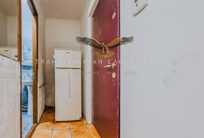 Garsonieră decomandată, mobilată în Zorilor - 10