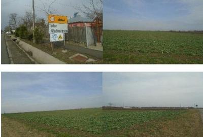Teren de 6950 mp, în Tudor Vladimirescu - 6
