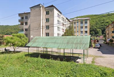 Apartament cu 2 camere semidecomandat în Pădurea Neagră - 1