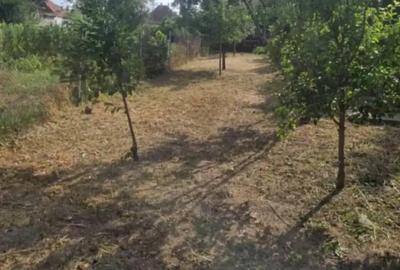 Casa de vinzare Peciu Nou - 10