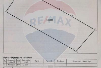 Teren extravilan, 2000 mp, Sat Pestera (com Moieciu) - 7