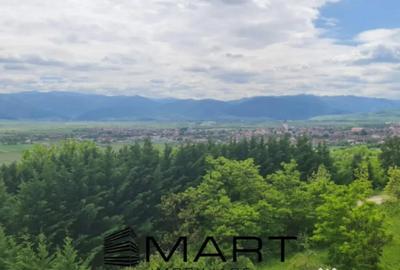 Apartament cu 4 camere decomandat în Cristian