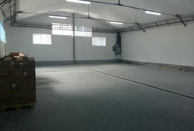 Hala de Inchiriat | Pallady | 400MP - 2