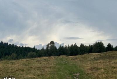 Spațiu comercial, în Gura Râului - 5