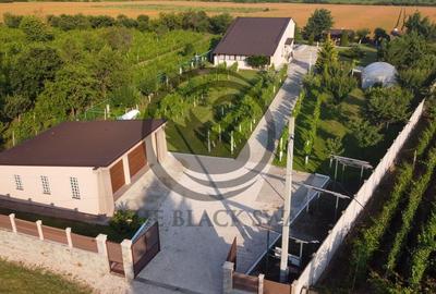 Casa cu piscina de vanzare | 3.300 mp teren | Urlati - Prahova - 3