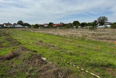 Teren lotizat Corbeanca - 5