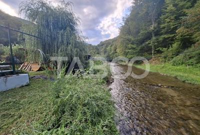 Spatiu de vanzare in Valea Macesului judel Valcea iesire la Lotru - 24