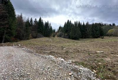 Teren in suprafata de 11 310  mp situat in Rasnov, Paraul Rece - 5