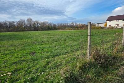 Teren Construcții intravilan de 7200 mp, în Sud - 9