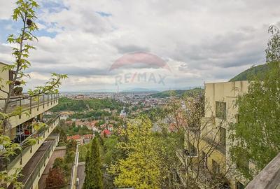 Apartament cu 2 camere decomandat, mobilat în Drumul Poienii