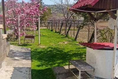 Casă cu 3 camere cu Teren 2850 Mp în Băiculești - 6