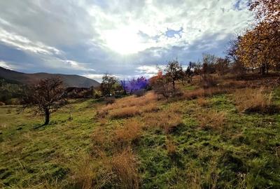 Parcele Teren cu PUZ si toate utilitatile / Cisnadioara-Sibiu - 10