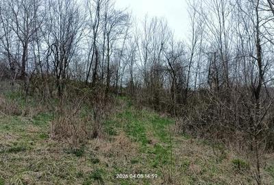 Casă cu 3 camere cu Teren 3600 Mp în Central - 5