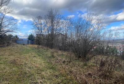 Teren Intravilan 495 mp – Zonă Liniștită Strada Livezii - 3