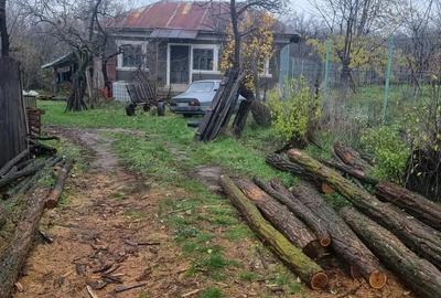 Vand casa aproape de dunare - 3