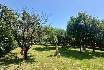 REV2002860 Vila 5 camere Balotesti I 1000 mp REV2002860 Vila 5 camere Balotesti I 1000 mp - 3