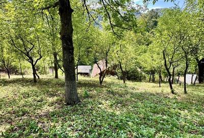 Casă cu 3 camere în Drumul Carului - 6
