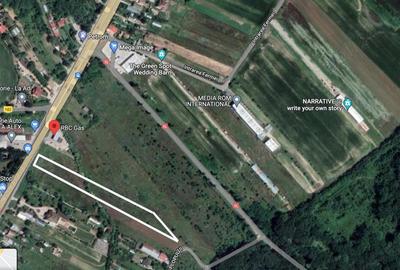 Teren de 4300 mp, în Ciolpani