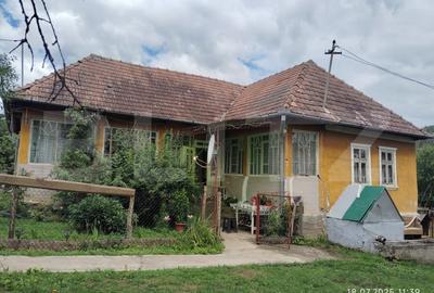 Proprietate in Iara 6.000  teren, ideala pentru casa sau investitie - 3