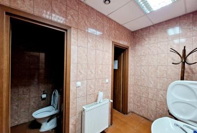 De Inchiriat Spatiu industrial si Birouri 3700 MP Teren 24895MP Sindrilita DN2 - 9