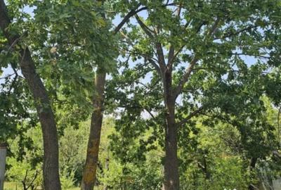 Teren de 572 mp, în Băicoi - 2