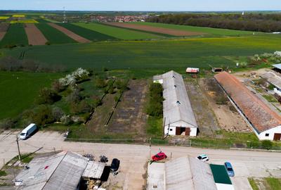 Spațiu industrial, de 734 mp, în Macea - 2