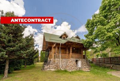Colt de Rai -Casa de vacanta cu Padure-Livada si Rau -Jud.Arges!