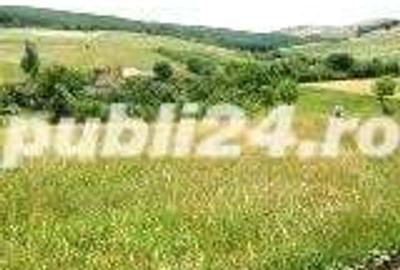 Teren de 6825 mp, în Ortelec - 3