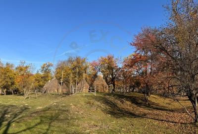 Teren Salatrucu - 7500 mp - 4