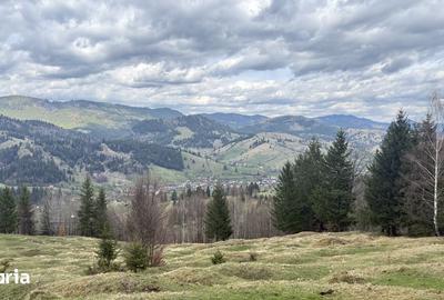 Teren de 10270 mp, în Sadova - 5