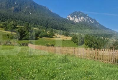 Teren de 1004 mp, în Zărnești