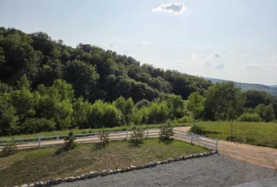 Casă cu 3 camere în Bălnaca - 4