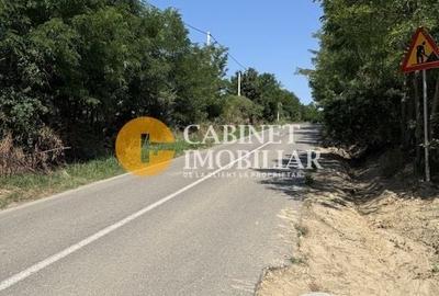 Teren Aroneanu 7200 sau 14.400 mp - toate utilitatile - la asfalt - 2