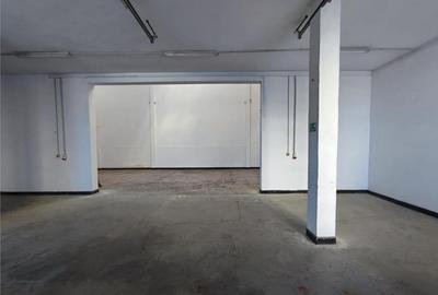 Hala industriala - 384mp - zona industriala Sud - str. Repub - 9