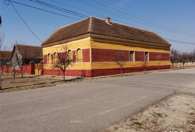 Casă cu 4 camere cu Teren 2900 Mp în Central - 5