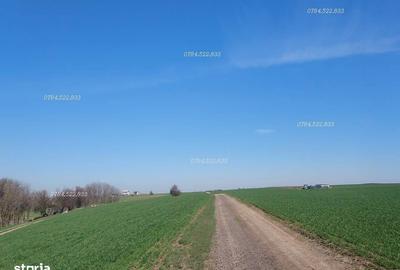 Teren de 500 mp, în Berceni