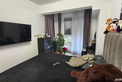 De vanzare studio - Tunari - 3