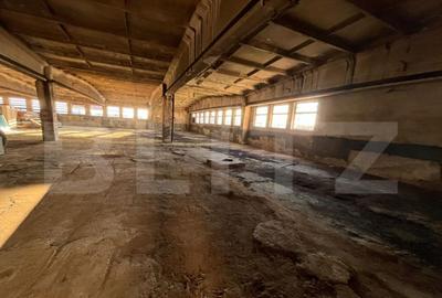 Hala industriala 800 mp, curte ?i parcare proprie, acces - 4