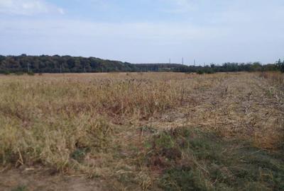 VANZARE TEREN COM BALOTESTI, SAT SAFTICA VANZARE TEREN COM BALOTESTI, SAT SAFTICA - 3